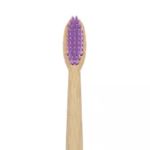 Natural Bamboo Toothbrush Purple