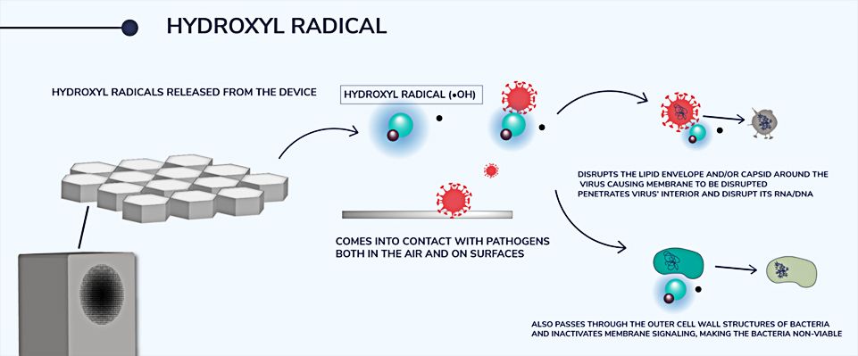 radiant-catalytic-ionis_2.jpg