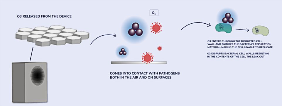 radiant-catalytic-ionis_5.jpg