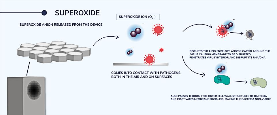 radiant-catalytic-ionis_3.jpg