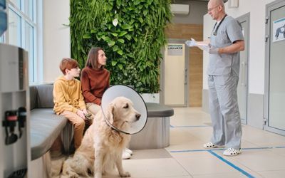 Air Purifiers for Pet Clinics