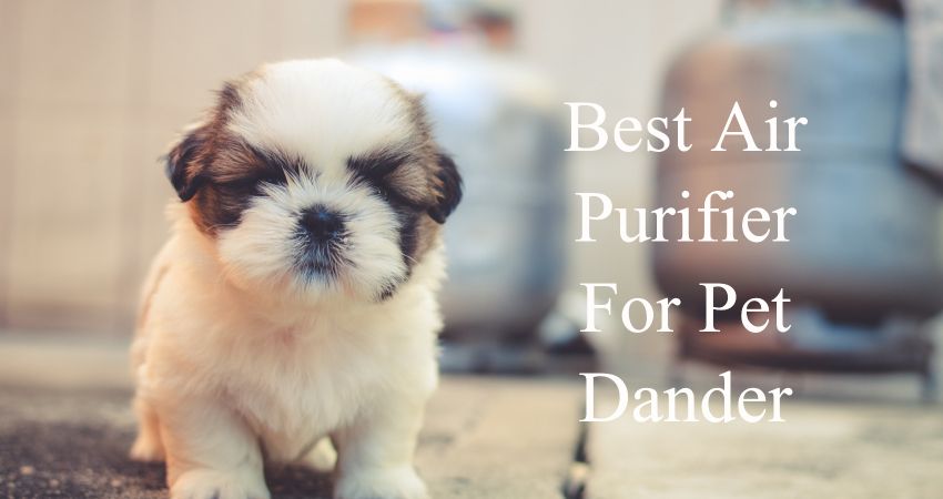 Air Purifiers for Pet Dander & Pollen Allergies Air Purifiers for Pet Dander & Pollen Allergies