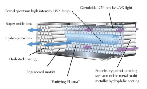 rci-cellcutaway.png