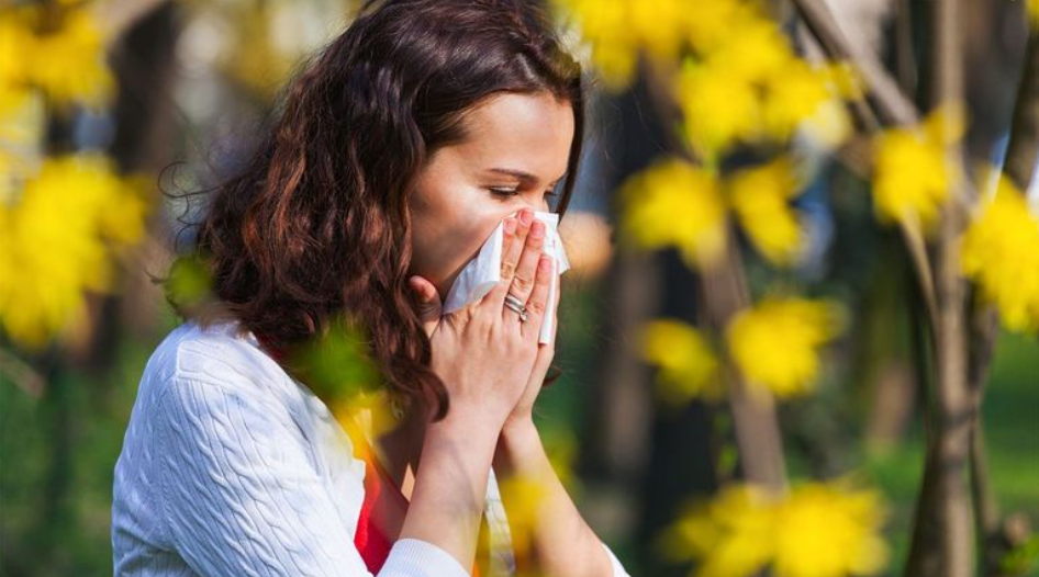 Here is why your allergy might have become worse in the last few years
