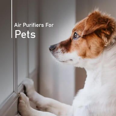 Pet Air Purifier