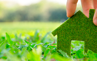 Clean Air Solutions for Homes: How EcoQuest Technologies Transform Indoor Living