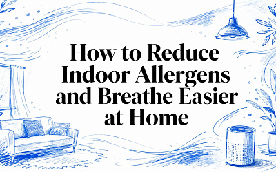How to Reduce Indoor Allergens and Breathe Easier at Home How to Reduce Indoor Allergens and Breathe Easier at Home